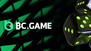 How to Navigate the BC.Game Signup Process for Beginners How to Navigate the BC.Game Signup Process for Beginners